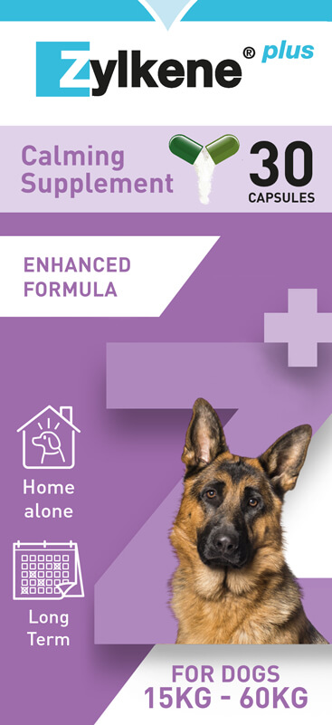ZylkenePlus_450_RetailFront