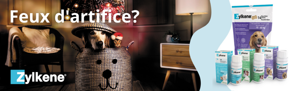 Zylkene aide votre animal à rester détendu en des situation tendues, comme des bruits forts